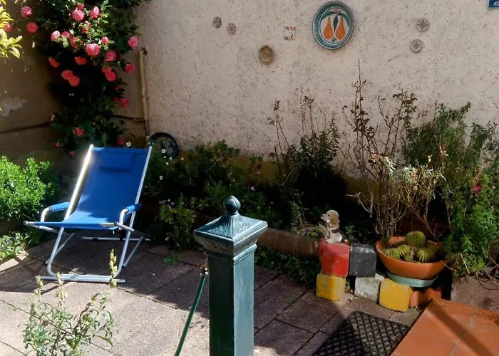 Il Coccio * 努奥罗