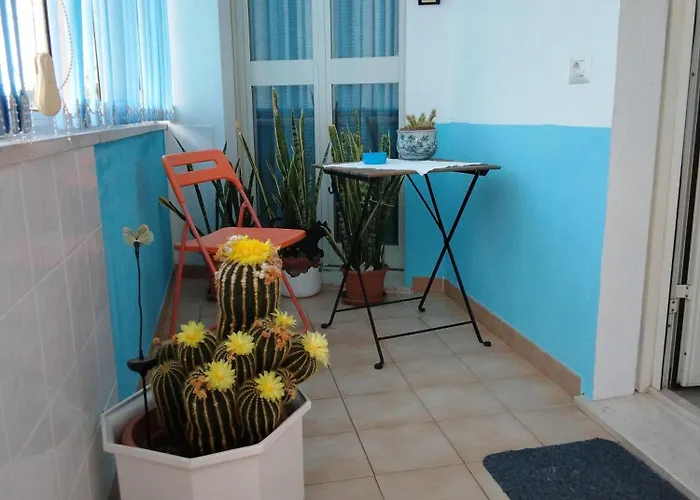 Il Coccio 民宿 努奥罗